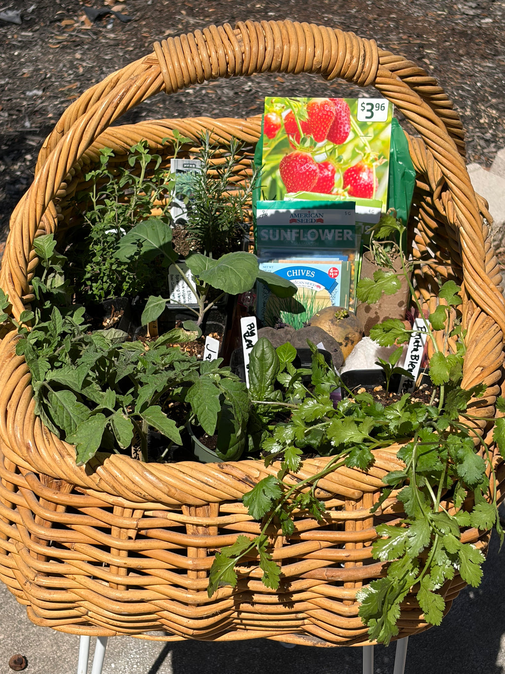 Digital Garden Downloads