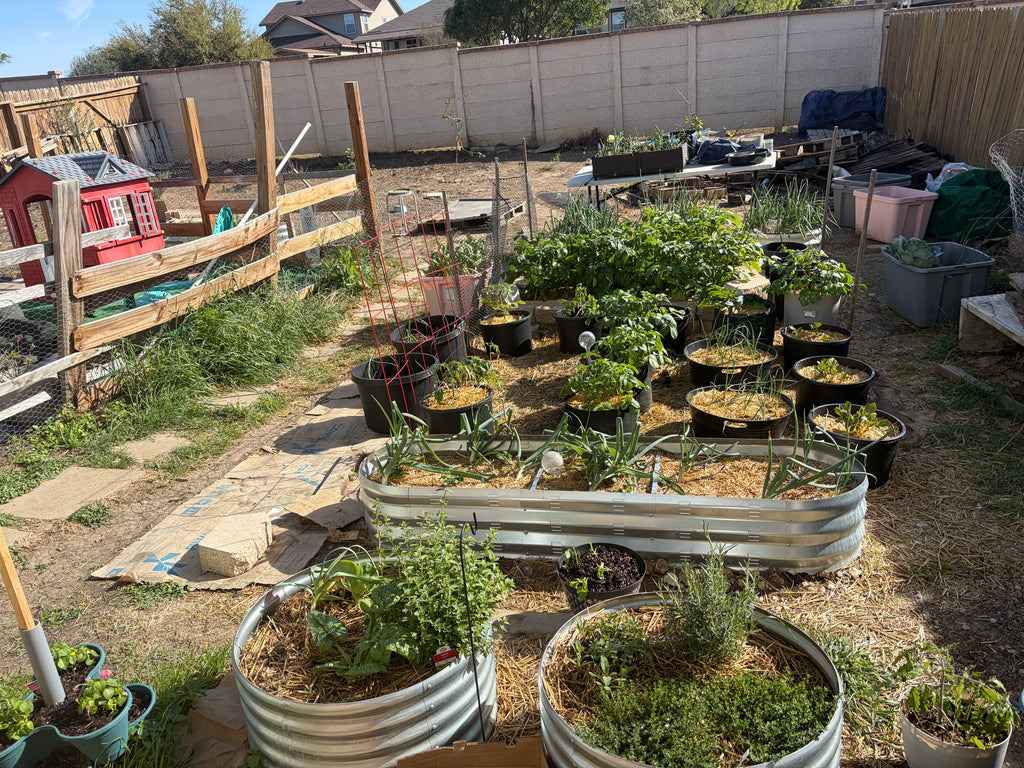 Digital Garden Downloads
