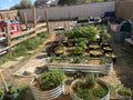 Digital Garden Downloads